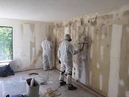 Best Black Mold Removal  in Bedford, IA